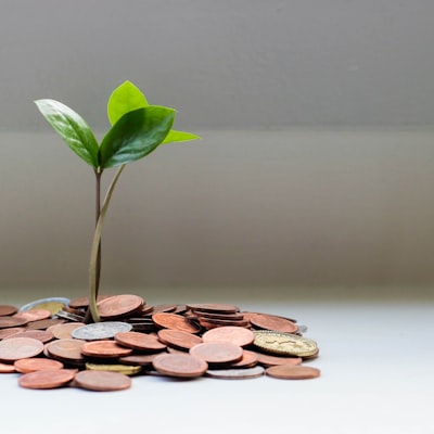 Growing returns from invested capital